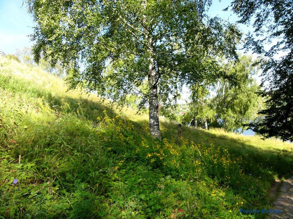 Плес (Ивановская область)