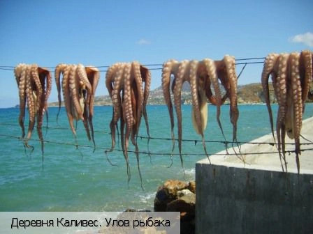 Каливес