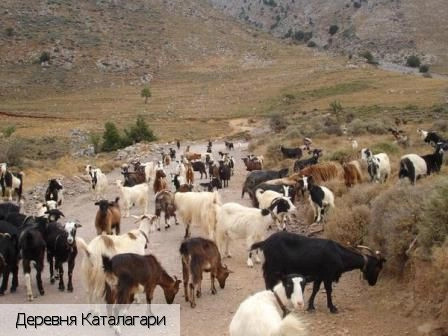 Каталагари