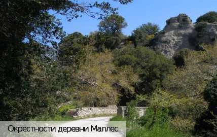 Маллес