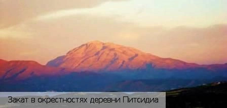 Питсидиа
