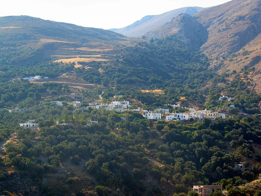 Родакино