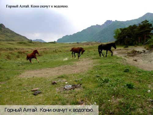 Республика Алтай