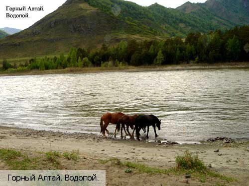 Республика Алтай