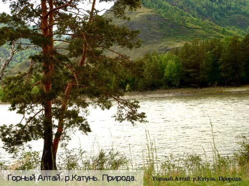 Республика Алтай