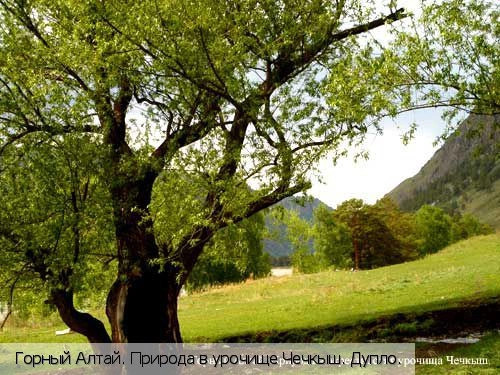 Республика Алтай