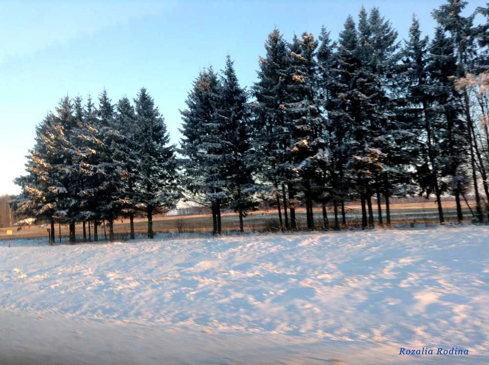 Бабынинский район
