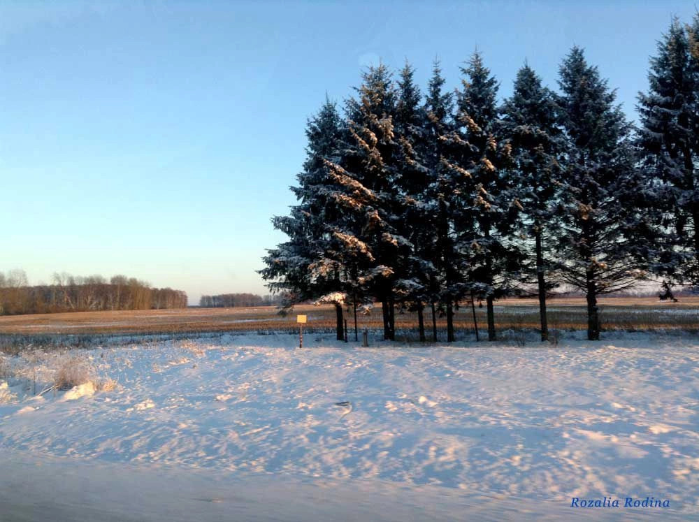 Бабынинский район