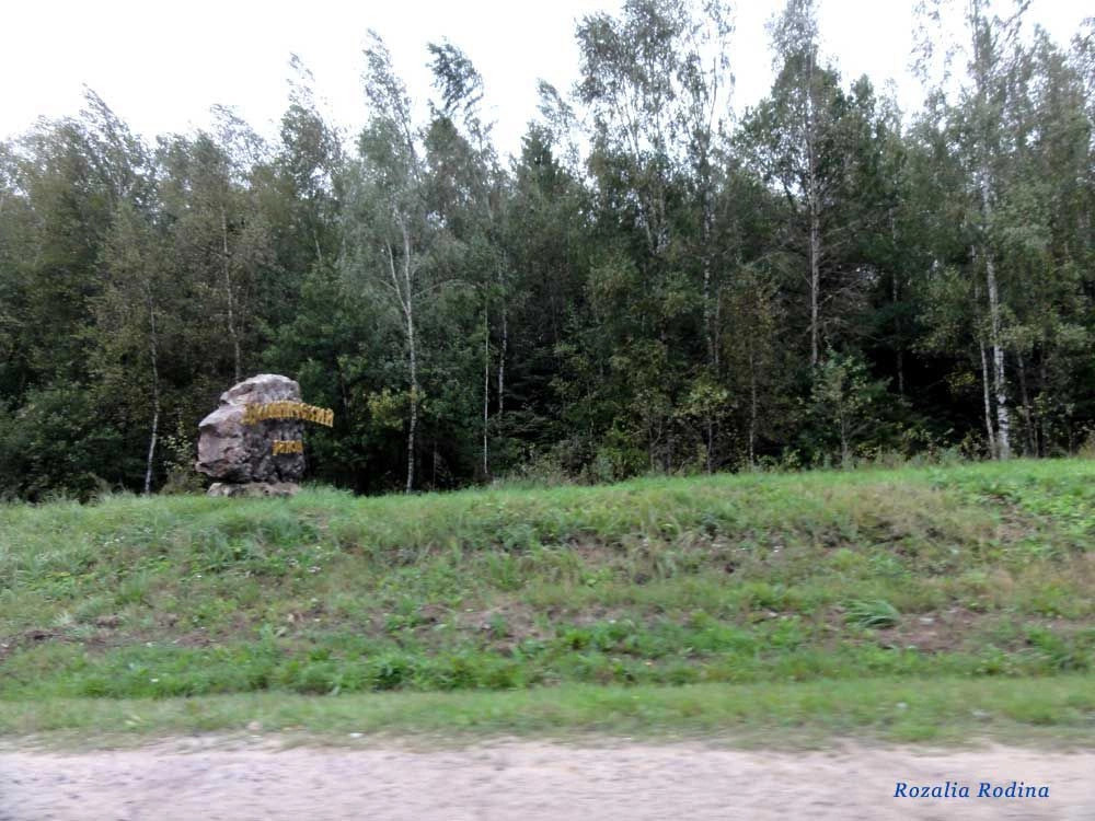 Думиничский район