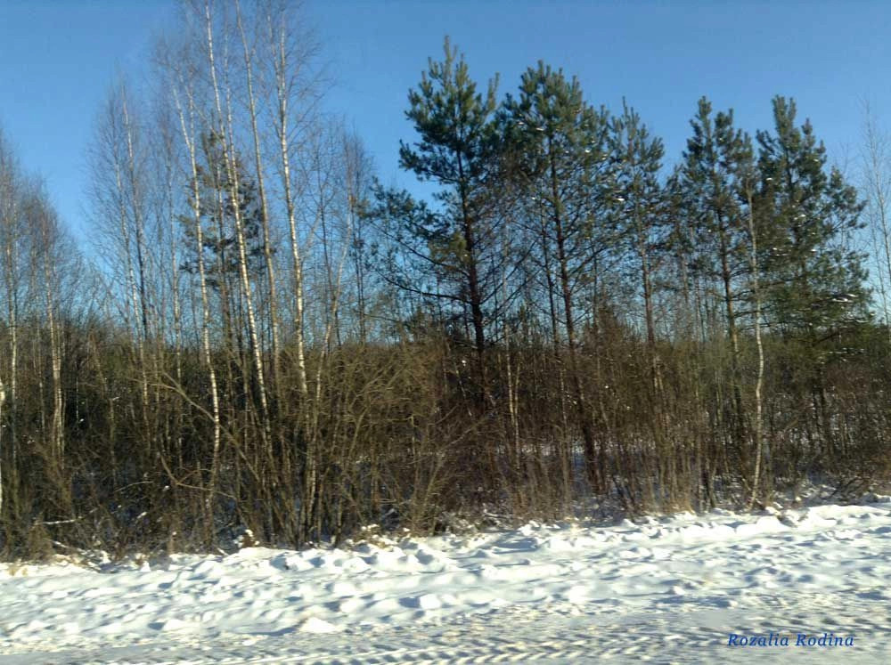 Жиздринский район