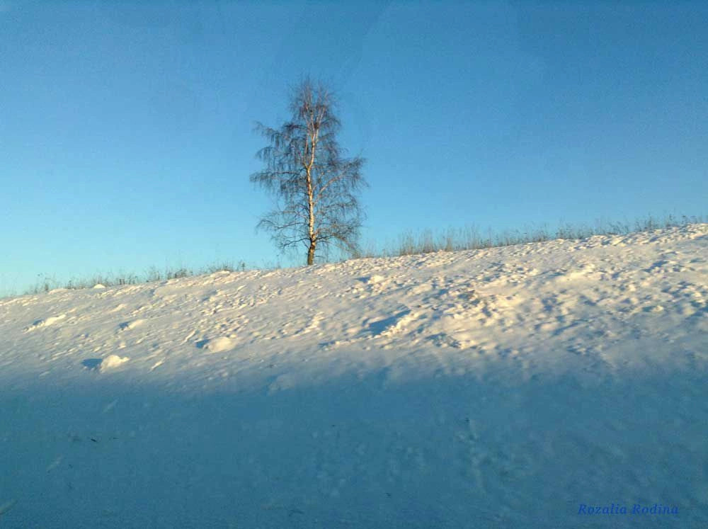 Мещовский район