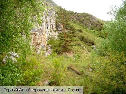 Республика Алтай