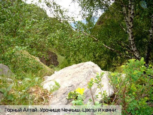 Республика Алтай