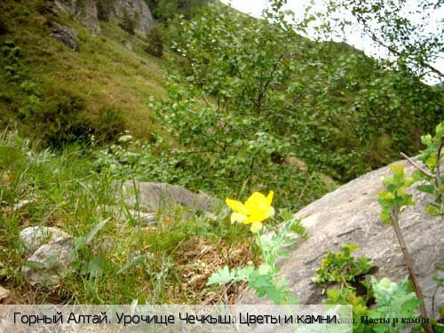 Республика Алтай