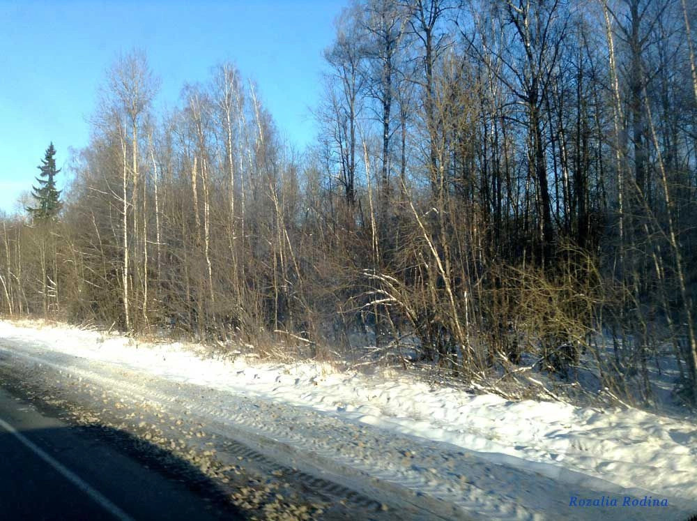 Хвастовичский район