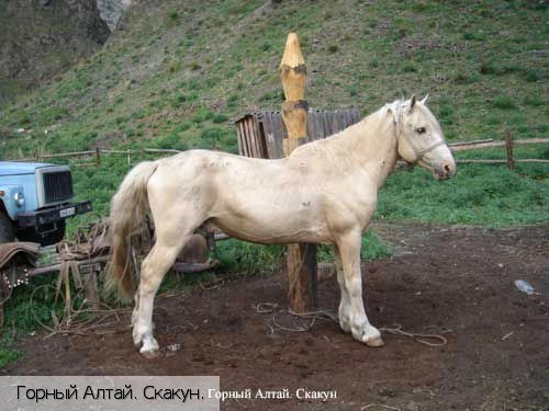 Республика Алтай