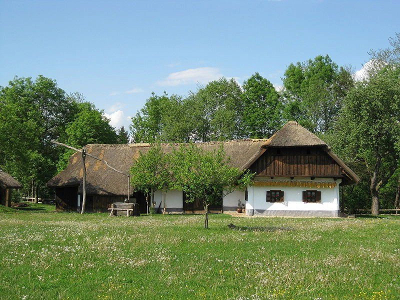 Подравска