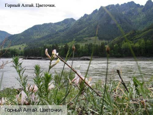 Республика Алтай