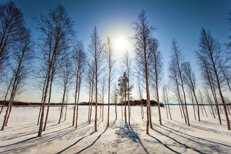Кемиярви
