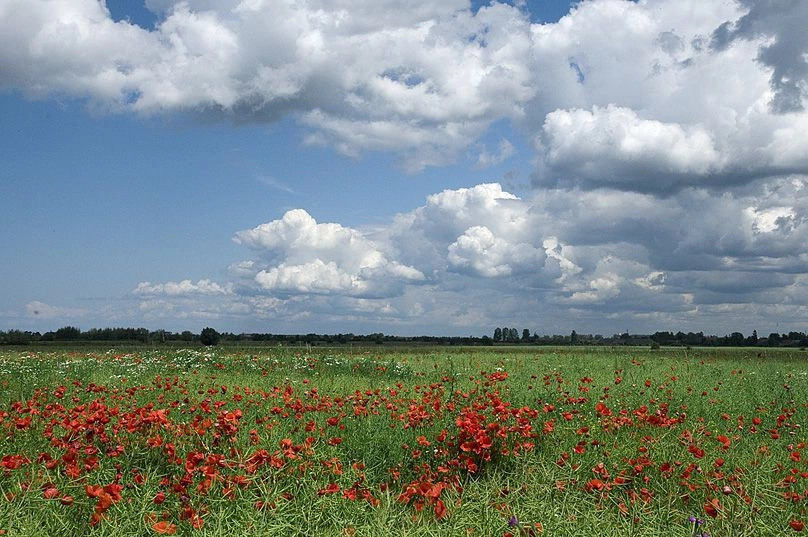 Калининградская обл.