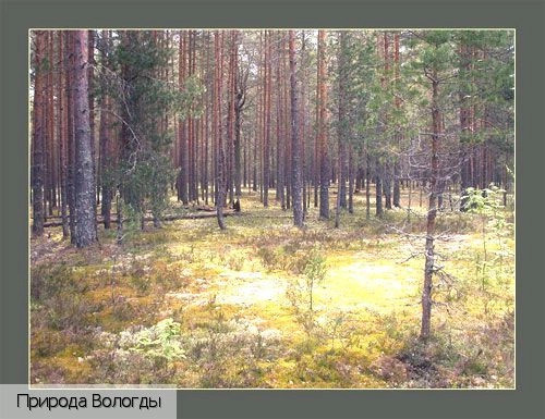 Вологодская обл.