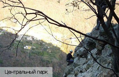 Канепа