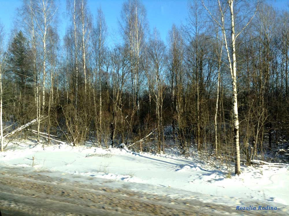 Хвастовичский район