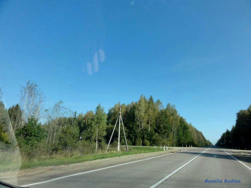 Хвастовичи село