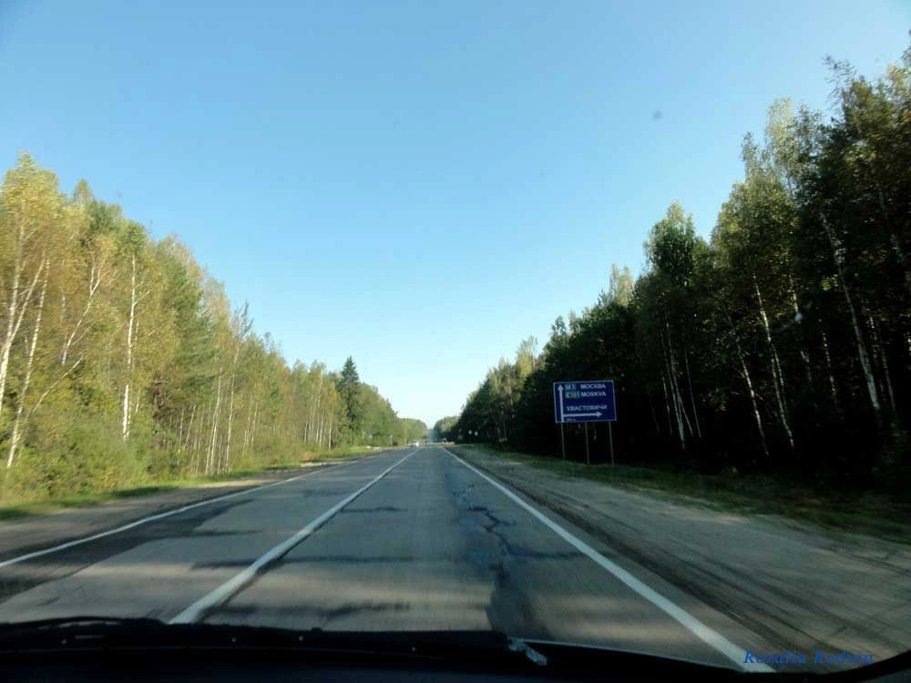 Хвастовичи село