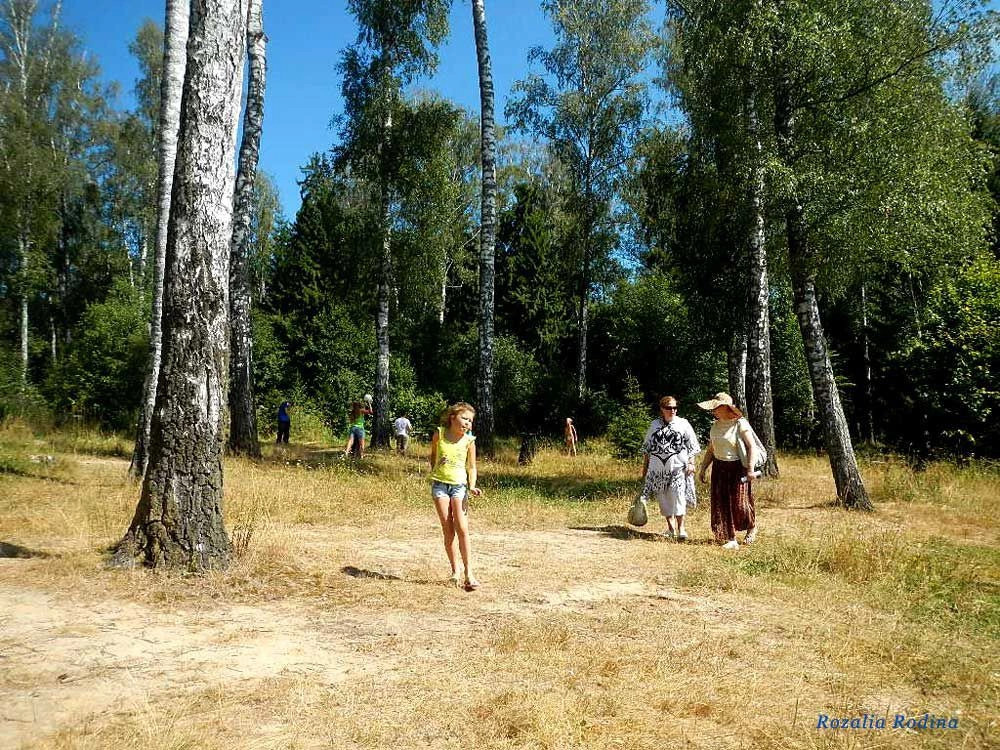 Мытищинский район