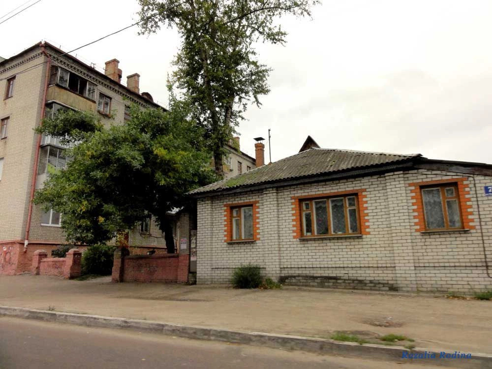 Брянск город