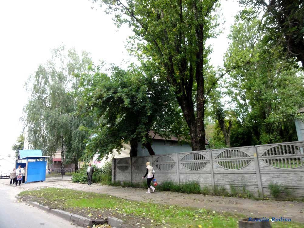 Брянск город