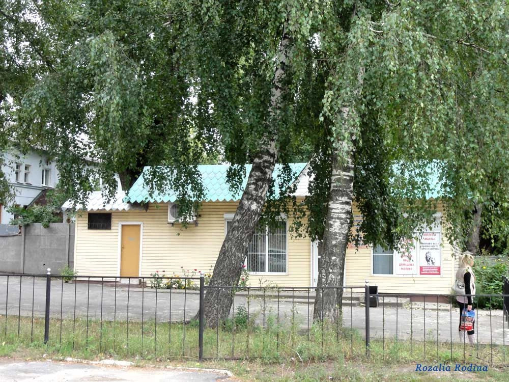 Брянск город