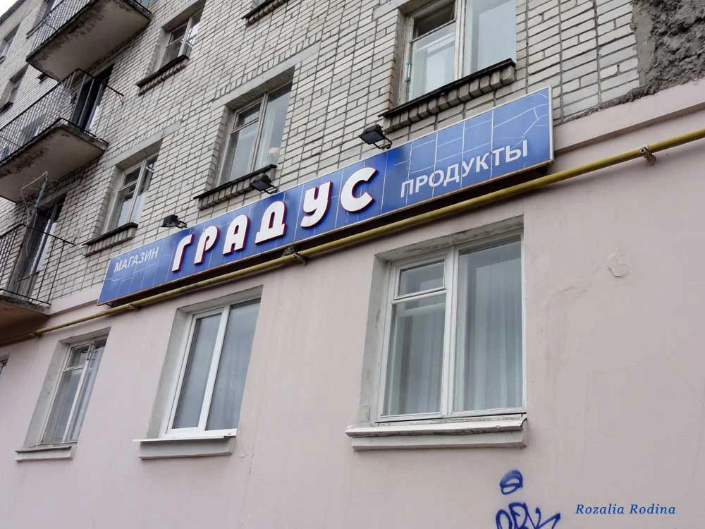Брянск город
