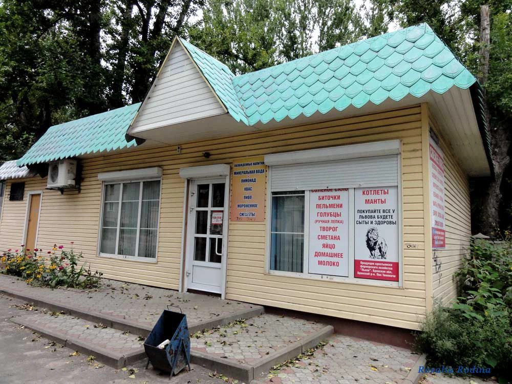 Брянск город