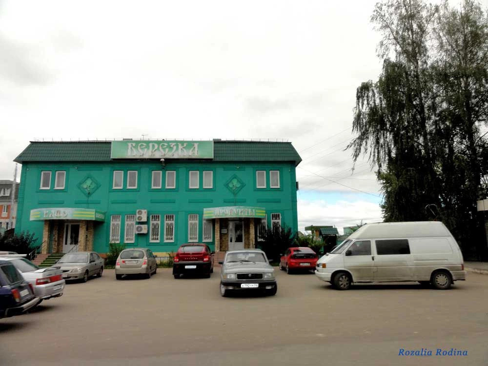 Брянск город