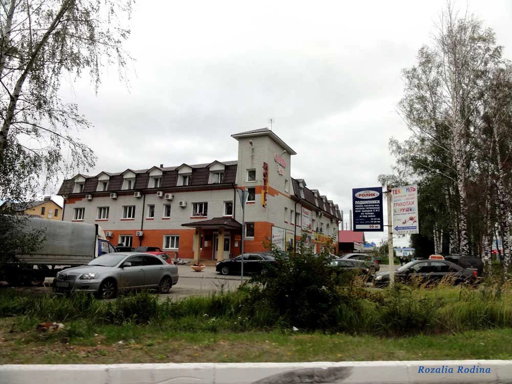 Брянск город
