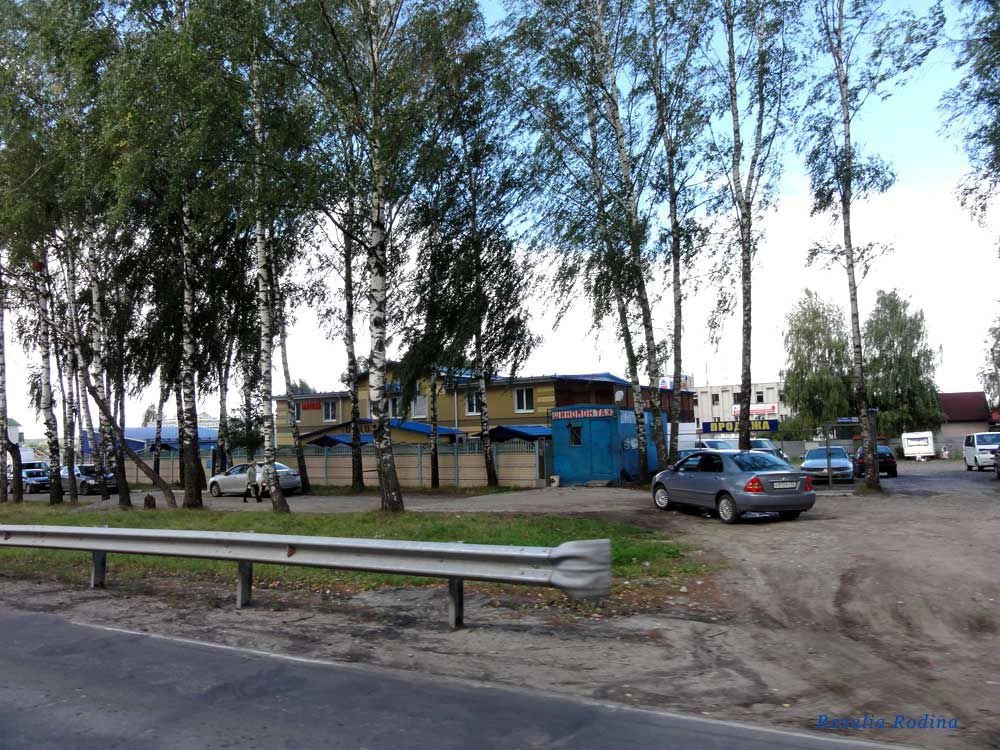 Брянск город