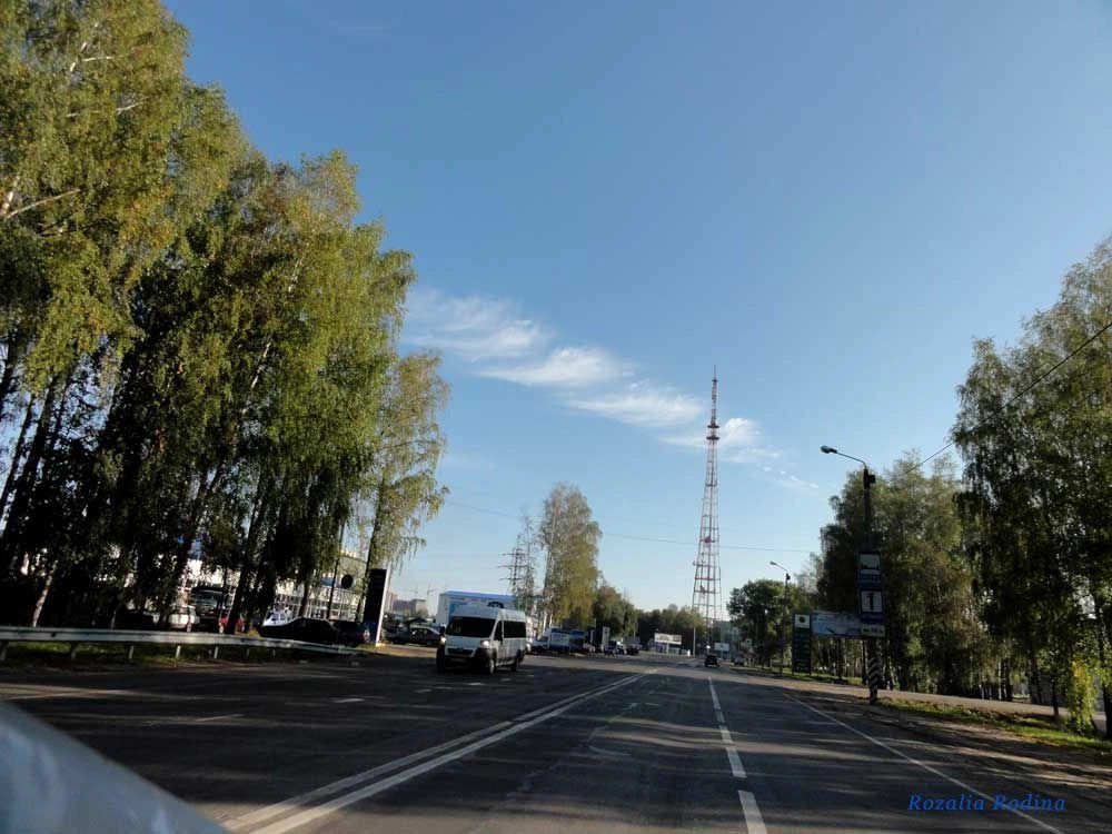 Брянск город
