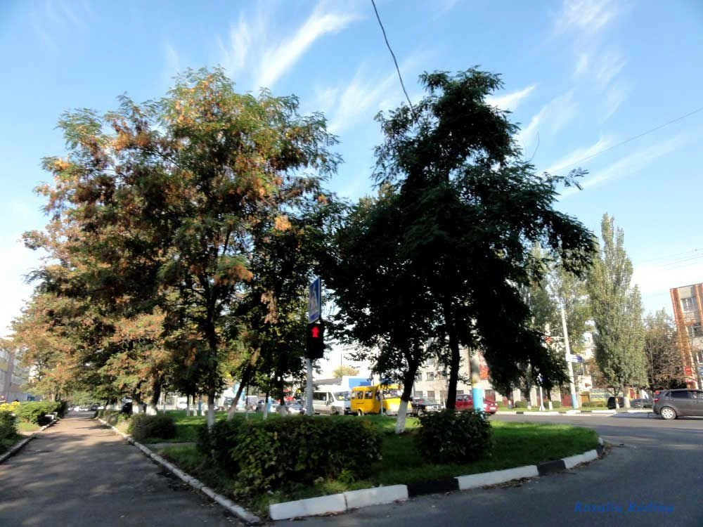 Брянск город