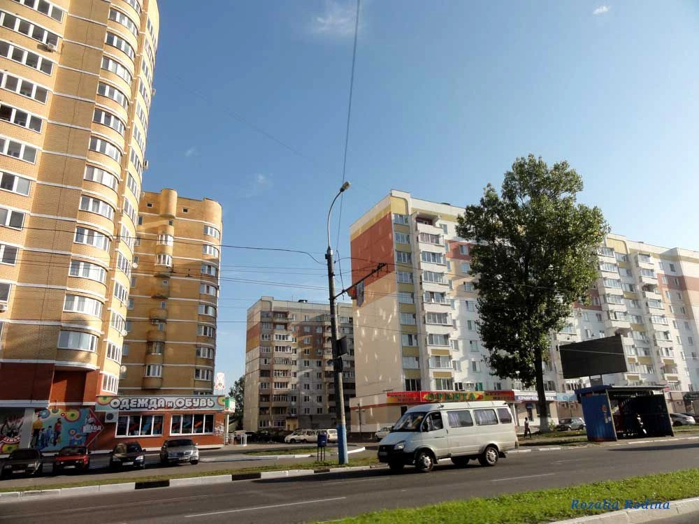 Брянск город
