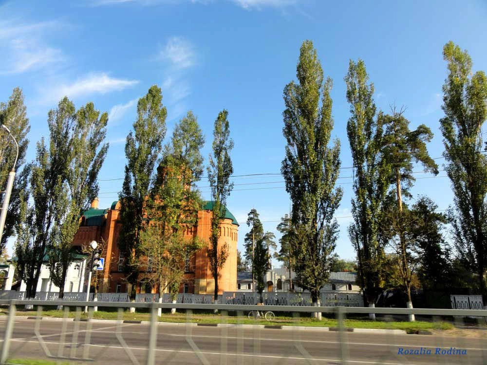 Брянск город