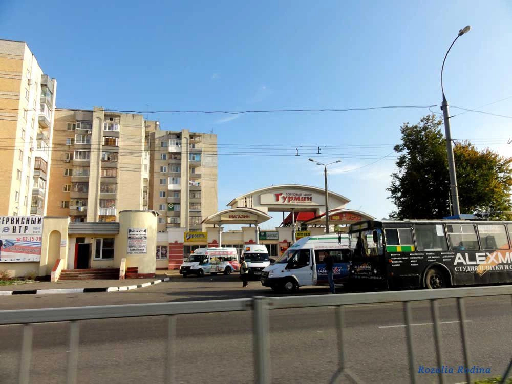 Брянск город