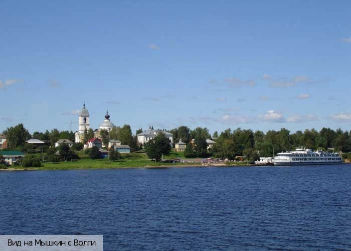 Мышкинский район