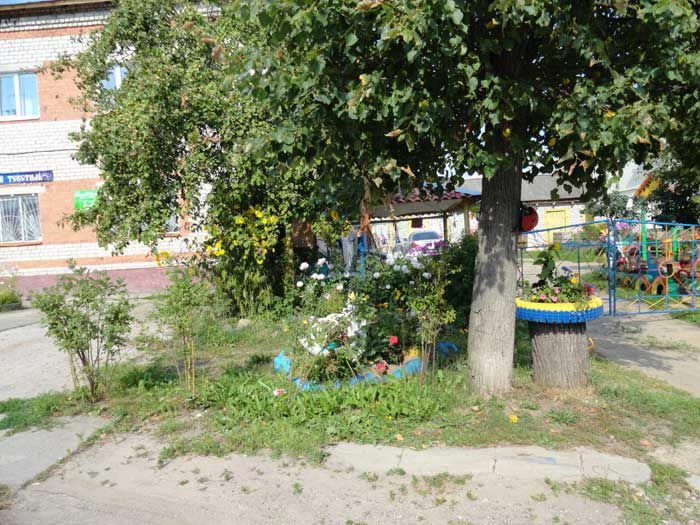 Мышкинский район