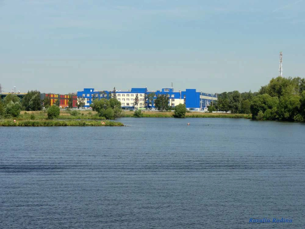 Шереметьевский поселок