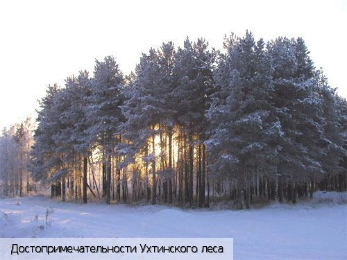 Коми