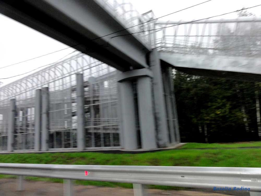 Киевский городское поселение