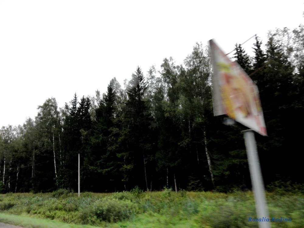 Киевский городское поселение