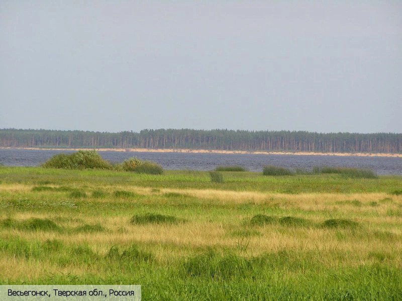 Весьегонск город
